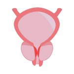 Testum Namnlos design 5