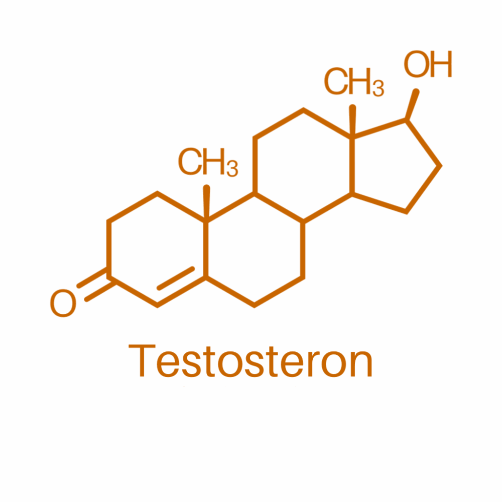 Testosteron