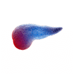 Testum Namnlos design 2