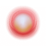 Testum inflammation 1